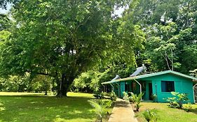 The Secret Eco Lodge